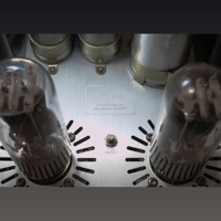 ThivanLabs Special ultimate monoblock 845PP Amplifiers variant 9