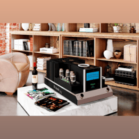 McIntosh Labs MC901 1-Channel Dual Mono Amplifier variant 14