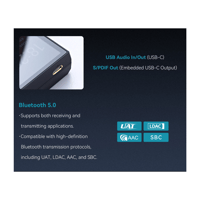 Cayin N6iii R202 variant 15