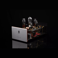 SW1x MPA III “Oracle” Mono Power Amplifier variant 13
