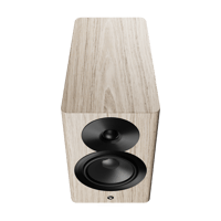 Dynaudio Focus 10 variant 19