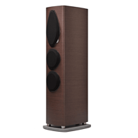 Sonus Faber Sonetto v variant 4
