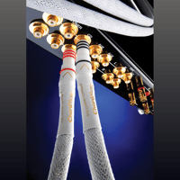 Chord Company ChordMusic Analogue RCA variant 3