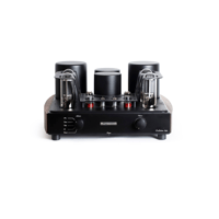 Mastersound Evolution 845 variant 1