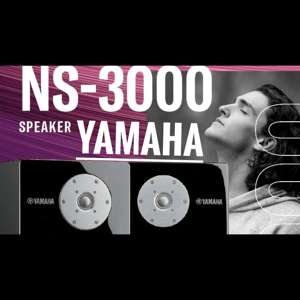 Thumbnail of the video review https://www.youtube.com/watch?v=pf6yaMNVZqg