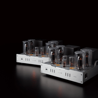 Allnic/ZL Technologies M-3000 mk2 variant 5