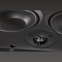 MartinLogan IW5-LCR variant 10