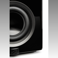 MartinLogan Abyss 10 variant 41