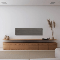 Canvas CANVAS SOLO variant 39