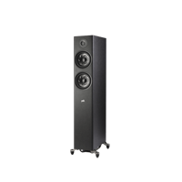 Denon Reserve R600 variant 7