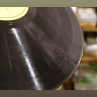 ANALOG RELAX Analog Relax Anti-Static Brush variant 10