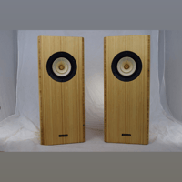 Blumenstein Audio Uni 5" Feastrex Fullrange Monitors (cabinet only or complete speaker) variant 1