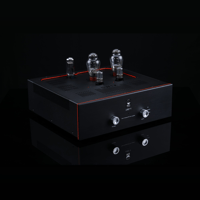 SW1x AMP V “Titan” Integrated Amplifier variant 2