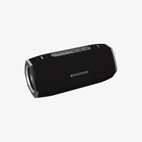 Wharfedale Exson Pro variant 5