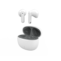 Nagaoka MSB01 variant 6