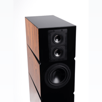 Audience Bellare variant 3