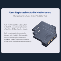 Cayin R2R Audio Motherboard variant 2