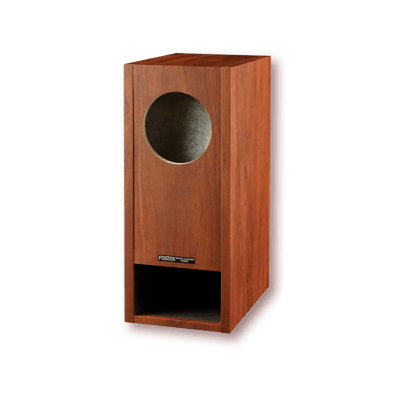Fostex P1000-BH