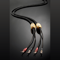 Jorma Audio Unity variant 1