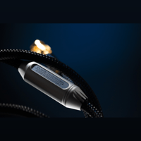 Siltech Cables Classic Legend 380D variant 5