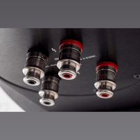 MartinLogan Neolith variant 11