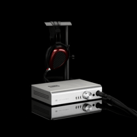 Schiit Audio Jotunheim variant 4