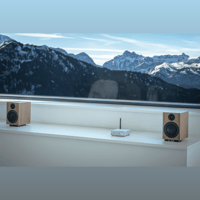 Pro-ject Audio Systems - USA Speaker Box 3 E Carbon variant 4