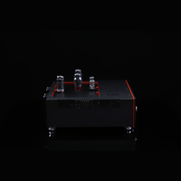 SW1x AMP II “Electra” Integrated Amplifier variant 6