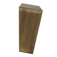 Atlantis Lab AT 22C variant 2