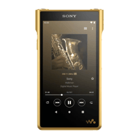 Sony NW-WM1ZM2 variant 3