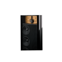 Steinway Lyngdorf Model B variant 3