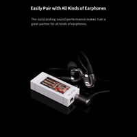 Aune Yuki USB DAC with Headphone Amp variant 11