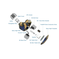 Unique Melody Mason FS Nuit Étoilée variant 3