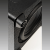 MartinLogan Dynamo Foundation 12 variant 20