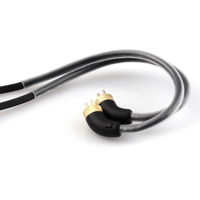 RAPTGO RAPTGO MR-10 Type-C Audio Cable: 0.78mm/2PIN, Advanced DAC Technology variant 4