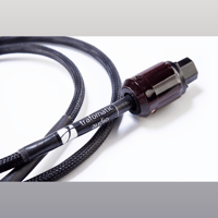 Trafomatic Audio Tesla  variant 2