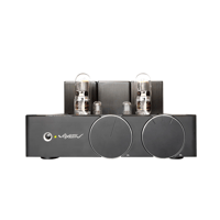 Voxativ T-805 SET Integrated Amplifier variant 2