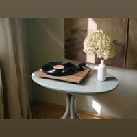 Pro-Ject Audio Systems Stereo Set E Phono variant 6