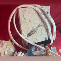 Darwin Cable Company Darwin Natural 2 variant 1