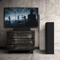 Klipsch R-30C variant 19