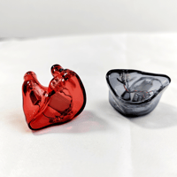 Hisenior T2Pro 2-Drivers IEM (Custom) variant 1