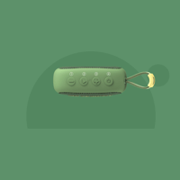 FiiO ANYWHERE variant 13