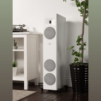 MartinLogan Motion F10 variant 22