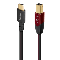 AudioQuest Cinnamon USB-C > B variant 1