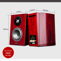 Cayin T30 MK2 variant 14