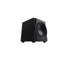 Perlisten R10s variant 2