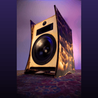 TIKI TUBE AMPS Atomic Hifi Speakers variant 5