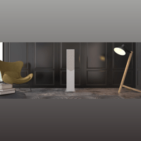 Acoustic Energy AE309 variant 9