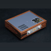 ThivanLabs P20 MM/MC TUBE PHONO PREAMPLIFIER variant 10