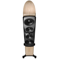 Dynaudio Confidence 50 variant 17